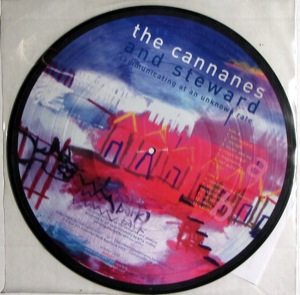 the Cannanes And Steward - Communicating At An Unknown Rate