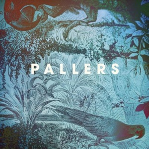 Pallers - The Sea of Memories