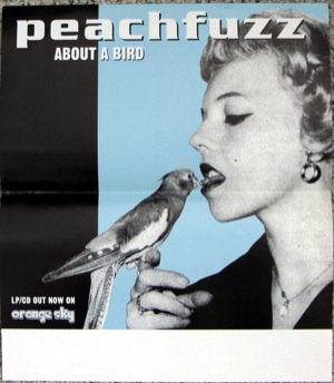 Peachfuzz - About A Bird poster