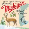 Sufjan Stevens - Greetings From Michigan The Great Lake State