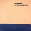 David Grubbs - Spectrum Between