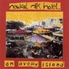 Neutral Milk Hotel - On Avery Island