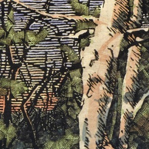 Anomoanon - Asleep Many Years In The Wood
