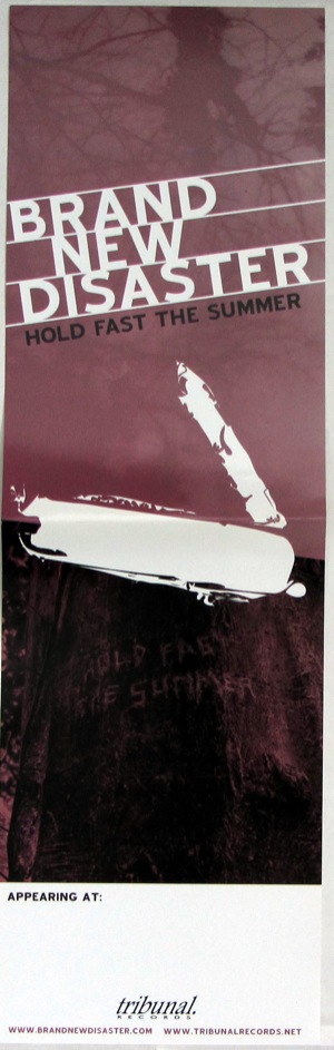 Brand New Disaster - Hold Fast The Summer poster