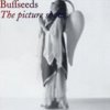 Buffseeds - The Picture Show
