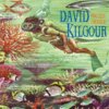 David Kilgour - Frozen Orange